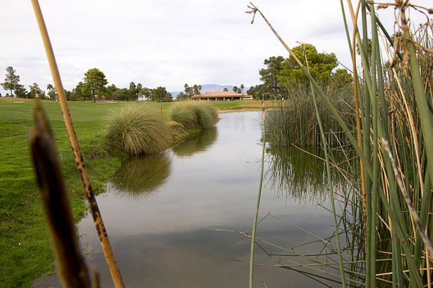 A view of the clubhouse at the Palm Valley Golf Course in Summerlin Monday Sept. 28, 2015. The course is irrigated with reclaimed water and is converting some the rough to desert landscaping.