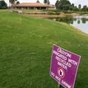 Palm Valley Golf Course in Summerlin