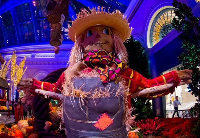 The 2015 fall display Thursday, Oct. 1, 2015, at Bellagio ...