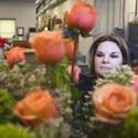 Venetian and Palazzo Roses