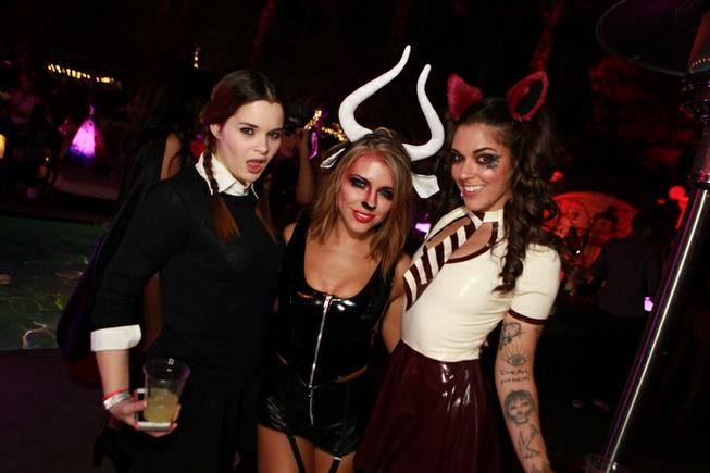The 2015 AVN Halloween Porn Star Party on Saturday, Oct. ...