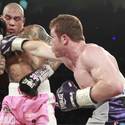 CaneloCotto11