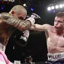CaneloCotto12