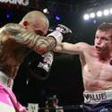 More Cotto Canelo
