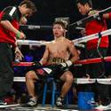 20151120BoxingMiuraVargas12.JPG 20151120BoxingMiuraVargas13.JPG 20151120BoxingMiuraVargas15.JPG 20151120BoxingMiuraVargas16.JPG 20151120BoxingMiuraVargas17.JPG 20151120BoxingMiuraVargas18.JPG 20151120BoxingMiuraVargas19.JPG 20151120BoxingMiuraVargas20.JPG