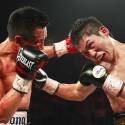 20151120BoxingMiuraVargas12.JPG 20151120BoxingMiuraVargas13.JPG 20151120BoxingMiuraVargas15.JPG 20151120BoxingMiuraVargas16.JPG 20151120BoxingMiuraVargas17.JPG 20151120BoxingMiuraVargas18.JPG 20151120BoxingMiuraVargas19.JPG 20151120BoxingMiuraVargas20.JPG