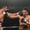 20151120BoxingMiuraVargas12.JPG 20151120BoxingMiuraVargas13.JPG 20151120BoxingMiuraVargas15.JPG 20151120BoxingMiuraVargas16.JPG 20151120BoxingMiuraVargas17.JPG 20151120BoxingMiuraVargas18.JPG 20151120BoxingMiuraVargas19.JPG 20151120BoxingMiuraVargas20.JPG
