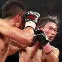 20151120BoxingMiuraVargas12.JPG 20151120BoxingMiuraVargas13.JPG 20151120BoxingMiuraVargas15.JPG 20151120BoxingMiuraVargas16.JPG 20151120BoxingMiuraVargas17.JPG 20151120BoxingMiuraVargas18.JPG 20151120BoxingMiuraVargas19.JPG 20151120BoxingMiuraVargas20.JPG
