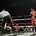 20151120BoxingMiuraVargas12.JPG 20151120BoxingMiuraVargas13.JPG 20151120BoxingMiuraVargas15.JPG 20151120BoxingMiuraVargas16.JPG 20151120BoxingMiuraVargas17.JPG 20151120BoxingMiuraVargas18.JPG 20151120BoxingMiuraVargas19.JPG 20151120BoxingMiuraVargas20.JPG