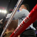 20151120BoxingMiuraVargas12.JPG 20151120BoxingMiuraVargas13.JPG 20151120BoxingMiuraVargas15.JPG 20151120BoxingMiuraVargas16.JPG 20151120BoxingMiuraVargas17.JPG 20151120BoxingMiuraVargas18.JPG 20151120BoxingMiuraVargas19.JPG 20151120BoxingMiuraVargas20.JPG