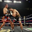 20151120BoxingMiuraVargas12.JPG 20151120BoxingMiuraVargas13.JPG 20151120BoxingMiuraVargas15.JPG 20151120BoxingMiuraVargas16.JPG 20151120BoxingMiuraVargas17.JPG 20151120BoxingMiuraVargas18.JPG 20151120BoxingMiuraVargas19.JPG 20151120BoxingMiuraVargas20.JPG