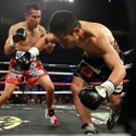 20151120BoxingMiuraVargas12.JPG 20151120BoxingMiuraVargas13.JPG 20151120BoxingMiuraVargas15.JPG 20151120BoxingMiuraVargas16.JPG 20151120BoxingMiuraVargas17.JPG 20151120BoxingMiuraVargas18.JPG 20151120BoxingMiuraVargas19.JPG 20151120BoxingMiuraVargas20.JPG