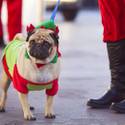 11th annual Las Vegas Great Santa Run