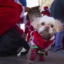 11th annual Las Vegas Great Santa Run