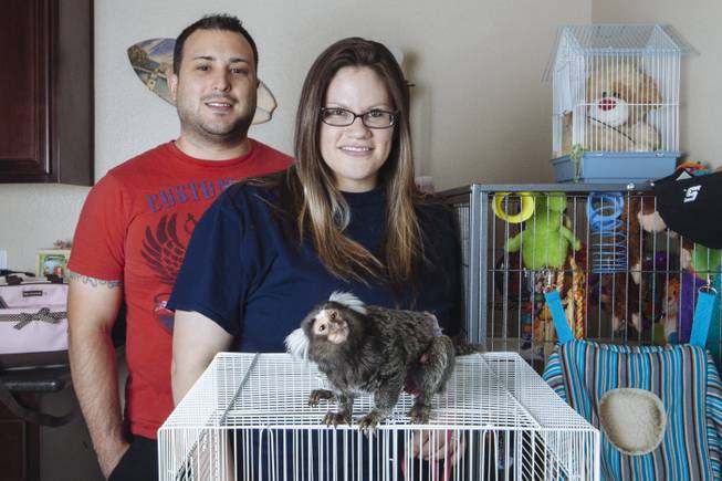 Jon and his wife pose with their pet marmoset, Gemma, in Las Vegas, Nev. on July 17, 2015.