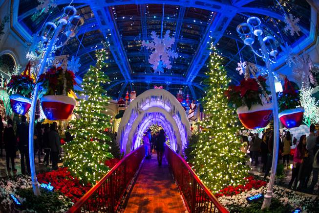 The annual Christmas display at Bellagio Conservatory & Botanical Gardens on Thursday, Dec. 24, 2015, on the Las Vegas Strip.