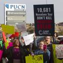 Solar Supporters Rally At PUC