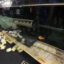 2016 SHOT Show