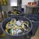 CCSD Food Service Department Tour