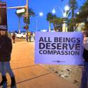 Animal Advocates Protest Trophy Hunter Convention