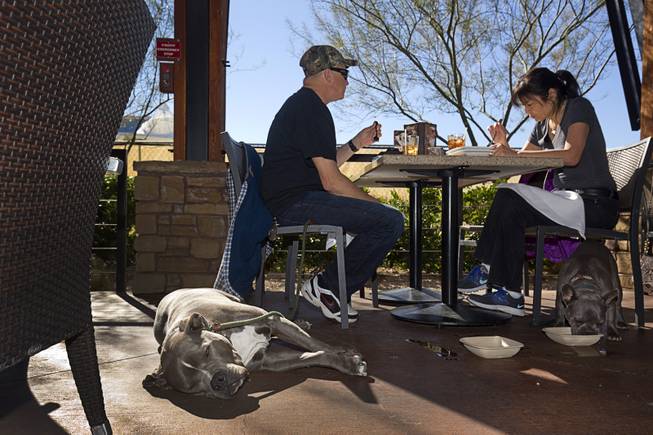 Kirk and Lisa Richards eat lunch at Lazy Dog Restaurant & Bar’s dog-friendly patio Sunday, Feb. 7, 2016, in Downtown Summerlin. With them are their dogs Big Mac, left, a 4-year-old Bull Mastiff mix, and Bluie, a 2-year-old French bulldog. 