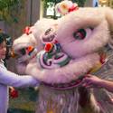 Venetian/Palazzo Celebrate Year of the Monkey