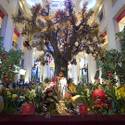Venetian/Palazzo Celebrate Year of the Monkey