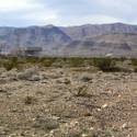 Faraday Future Sparks Interest in Apex