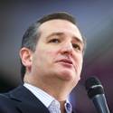 Ted Cruz Rally at Durango Hills