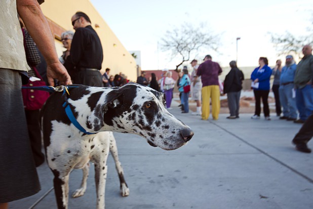 Sucette de Mon Ame, a service dog, waits with her owners at the Western High School GOP caucus site Tuesday, Feb. 23, 2016.