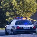 Homicide On Viking Road