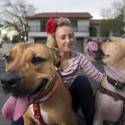 Paige Gordon And Pit Bulls