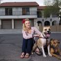 Paige Gordon And Pit Bulls