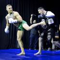 UFC 196 Workouts