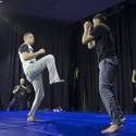 UFC 196 Workouts