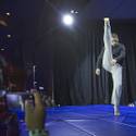 UFC 196 Workouts