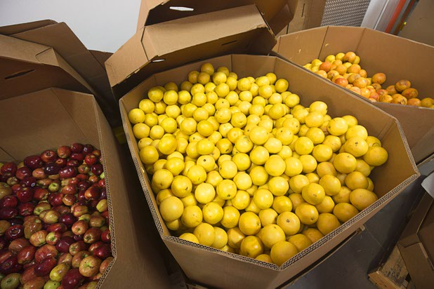 Bins of fruit are shown at The Market at Three Squares north campus, 4220 N. Pecos Rd., Wednesday, March 16, 2016.
