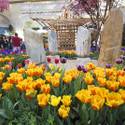 Bellagio Spring Display Honors Japanese Culture