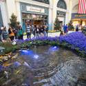 Bellagio Spring Display Honors Japanese Culture