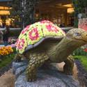 Bellagio Spring Display Honors Japanese Culture