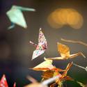 Bellagio Spring Display Honors Japanese Culture