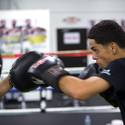 Boxer Saul Gomez