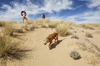 Spoon the dog, Erin Ryan, and Kristen Peterson hike on the Kelso Dunes at the Mojave National Preserve on March 25, 2016.