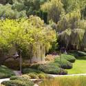 Lake Las Vegas: Village and Home Construction