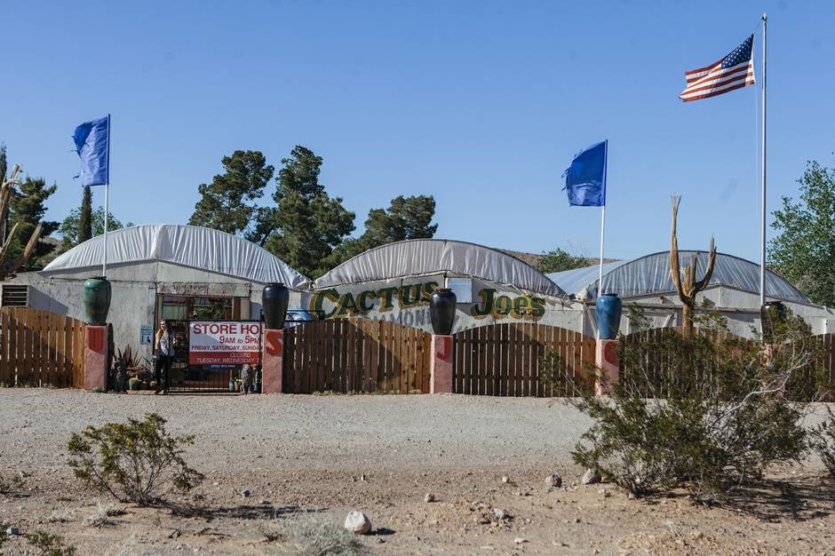 Cactus Joe's Blue Diamond Nursery