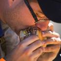 2016 Great American Foodie Fest