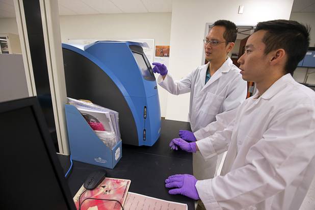 Christopher So, center, assistant professor of pharmaceutical sciences, looks at protein levels in cancer cells with research student Todd Nagamine at the Roseman University of Health Sciences' research lab in Henderson Tuesday, May 3, 2016.
