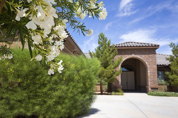 A model home built by Southwest Homes, the original developer, is shown in the Valley Heights by Elation Homes subdivision Wednesday, May 4, 2016, in Moapa Valley.