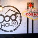 Adam Roll: Dog Haus