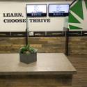 Mitch Britten: Thrive Cannabis Marketplace